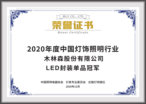 2020年度中國燈飾照明行業(yè)LED封裝單品冠軍